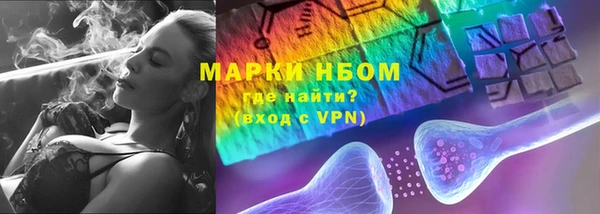 индика Дмитров