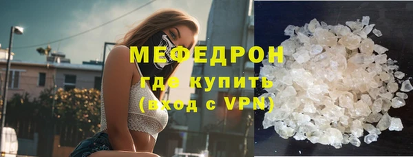 индика Дмитров