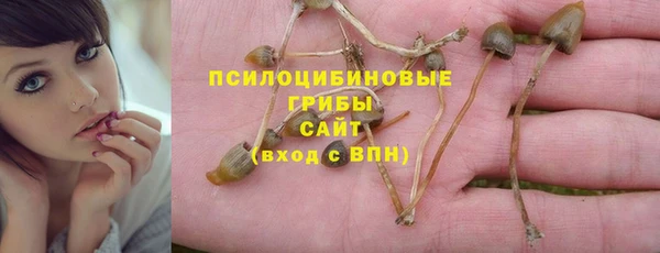 индика Дмитров