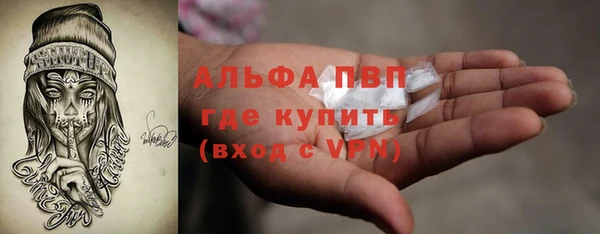 индика Дмитров