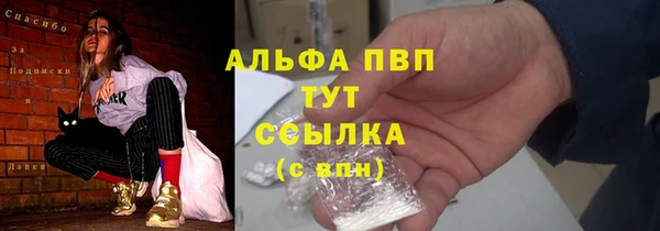 молекула духа Дмитриев