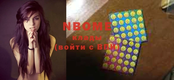 индика Дмитров