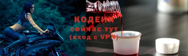 индика Дмитров