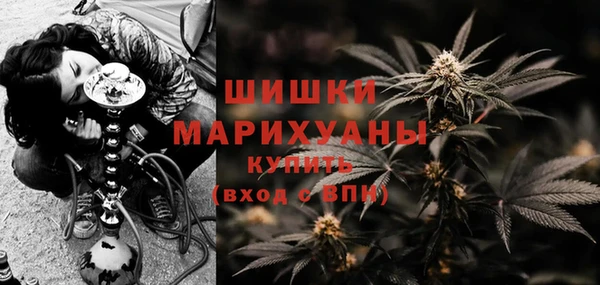 молекула духа Дмитриев