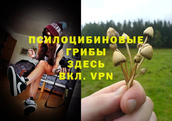 индика Дмитров