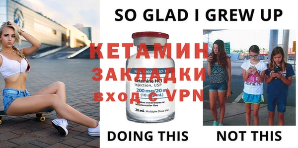 индика Дмитров